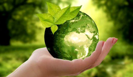 Beautiful Nature image