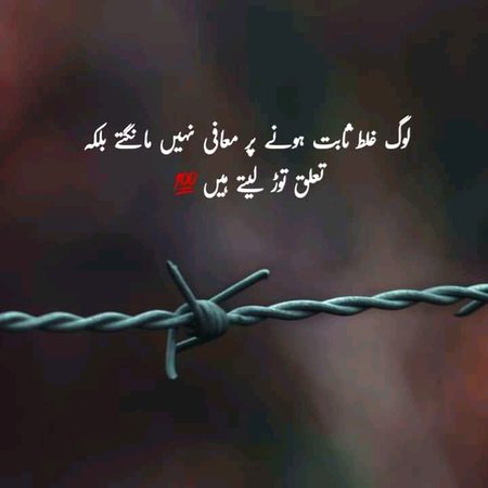 تعلق نہیں توڑنا چاہیے