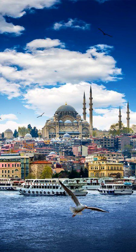 Beautiful Structures image