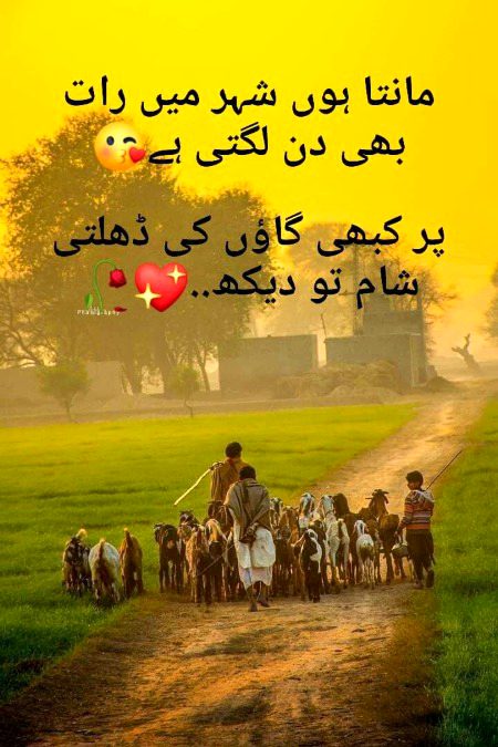 Beautiful Nature image