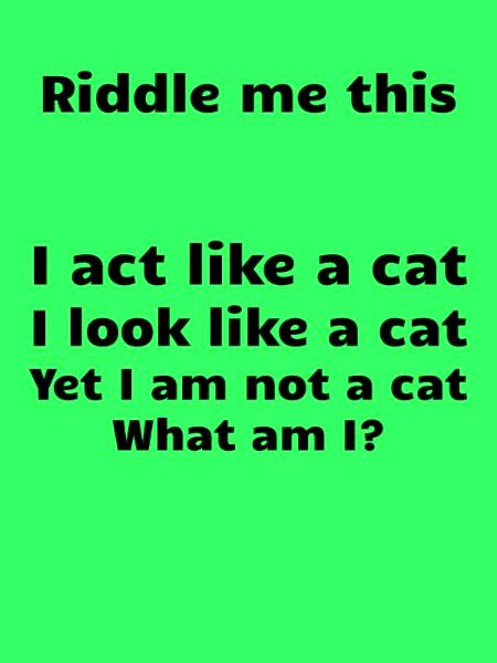 Riddles & Puzzles image