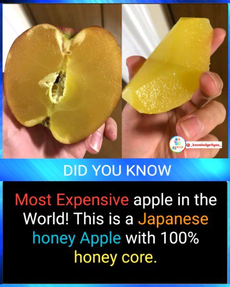 Interesting Posts image