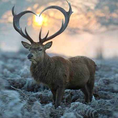 Beautiful Nature🔥