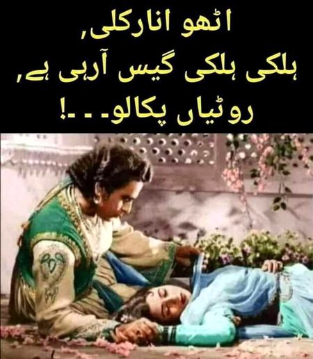 Memes & Satire image