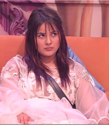 Indian Celebs image