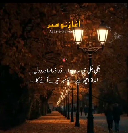 November ka agaz or boht si guzri yadion ka agaz 🥹🥲💔❤️🩹