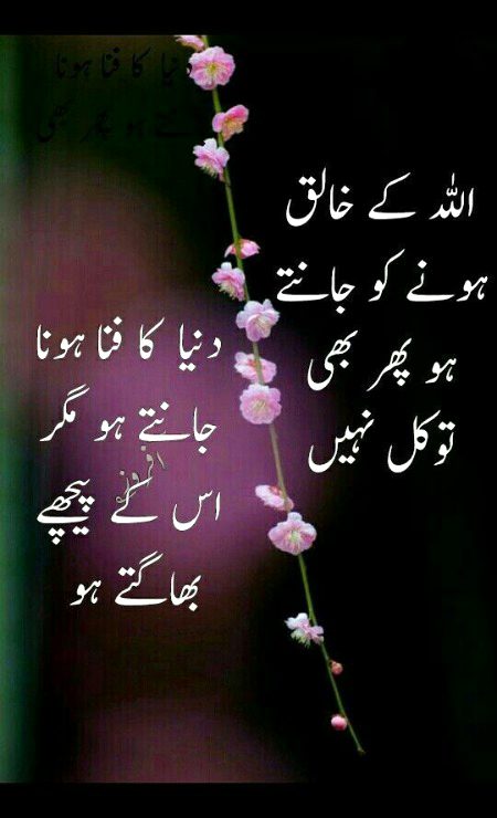 Islamic Quotes image