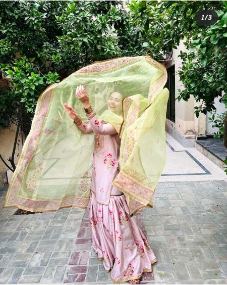 Pakistani Celebs image