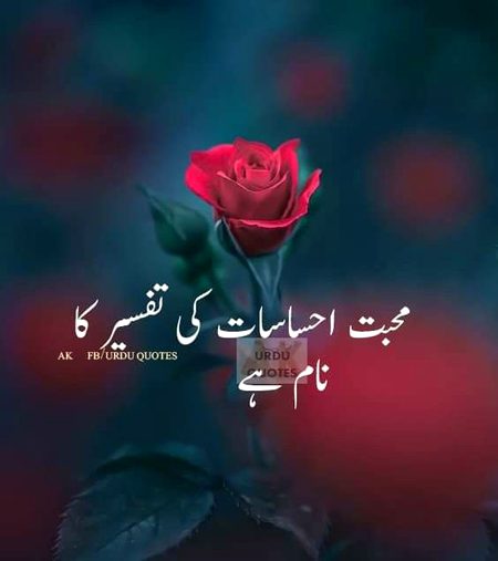 Saanaam❣️❣️