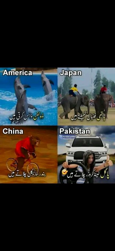 Memes & Satire image