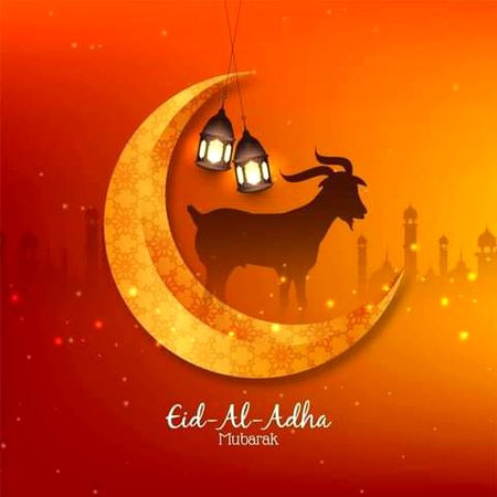 السلام وعلیکم صبح بخیر
سب کو بہت بہت عید اور قربانی مبارک ہو 🥰 دعاؤں میں یاد رکھیں گا۔