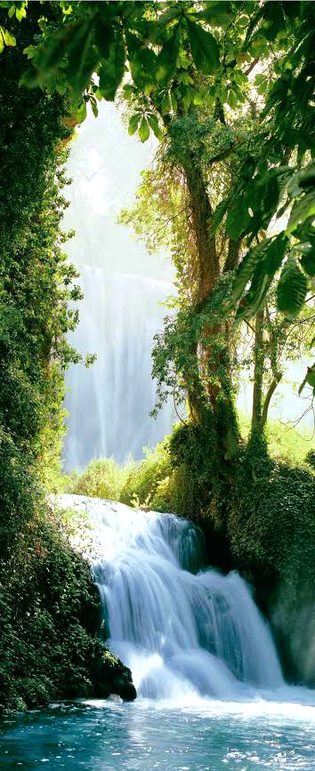 Beautiful Nature image