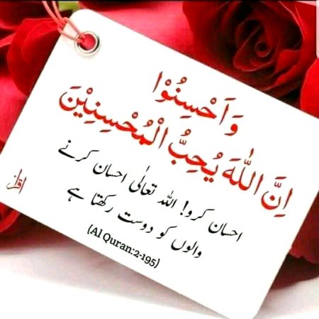 Islamic Quotes image