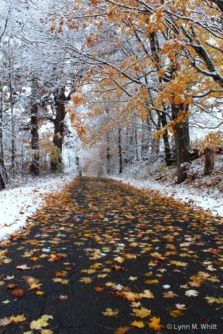 Beautiful Nature image