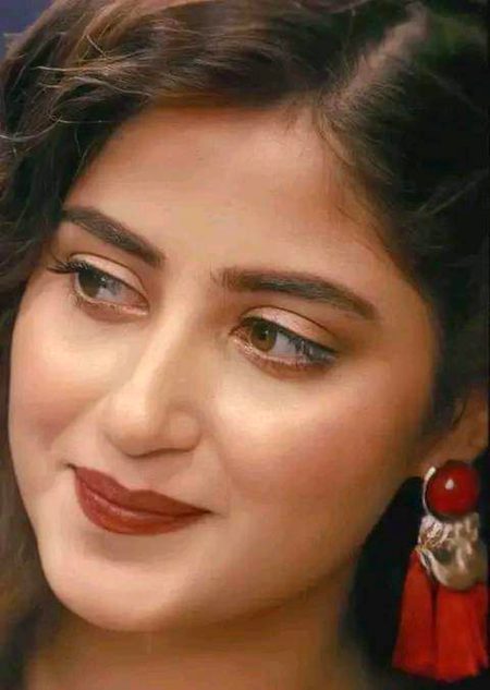 Pakistani Celebs image