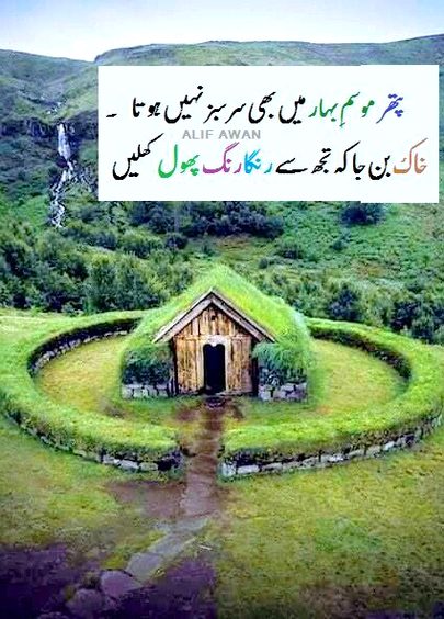 Motivational Quotes image