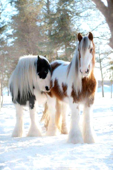 Beautiful Nature image