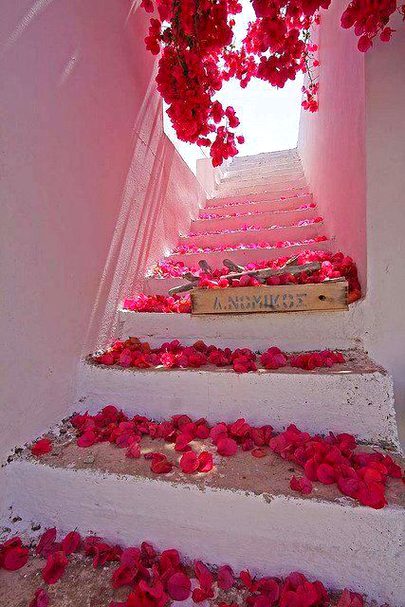 Beautiful Nature image