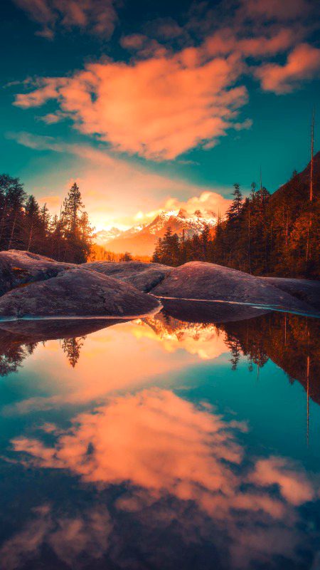 Beautiful Nature image