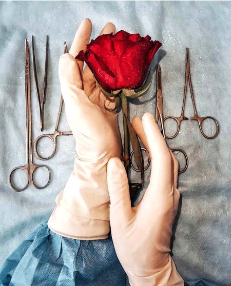 Beautiful Nature image