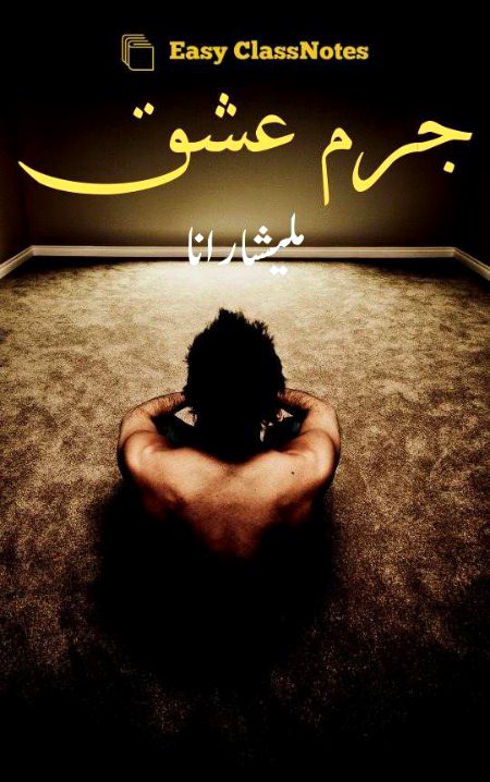 Suspense Novels image