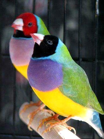 Beautiful Nature image