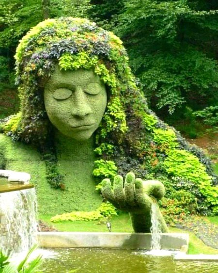 Beautiful Nature image