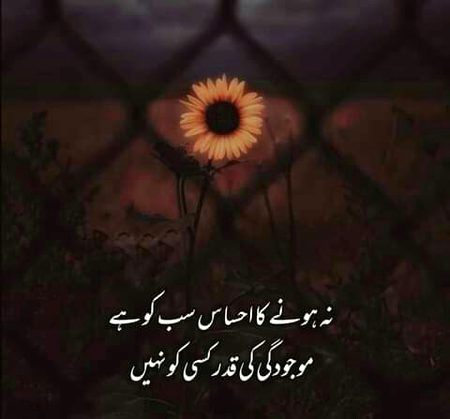 bilkul 🌹🍀🌹🍀🌹