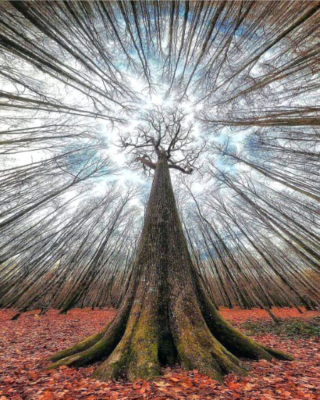 Beautiful Nature image