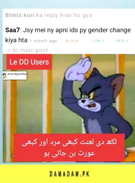 Damadam Roasting image