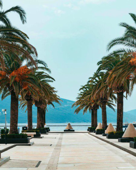 Beautiful Nature image