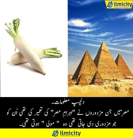 Interesting Posts image