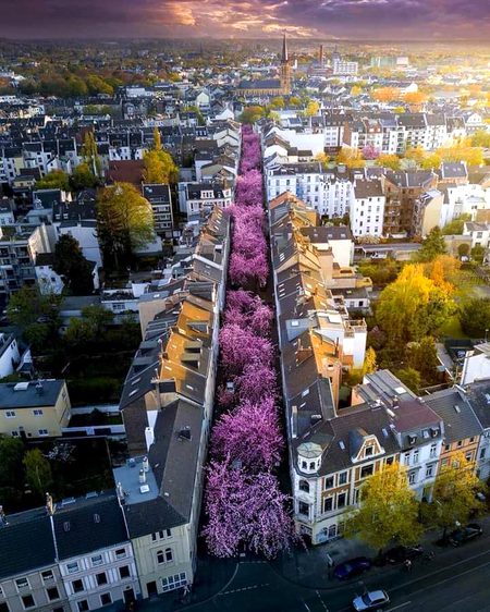 Beautiful Structures image