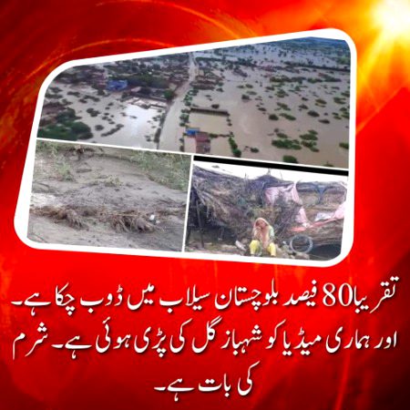 lanat imported government pe