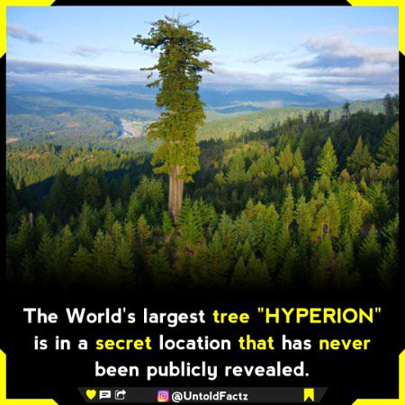 Interesting Posts image