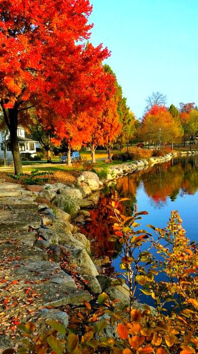 Beautiful Nature image