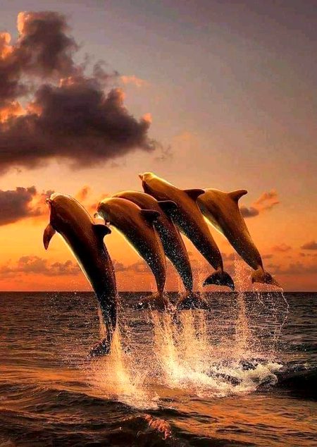 Beautiful Nature image