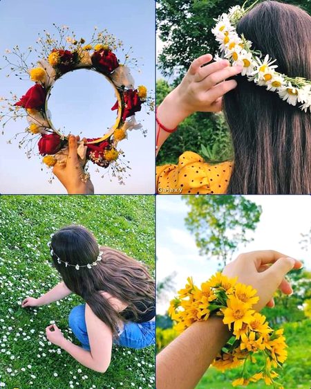 Beautiful Nature image