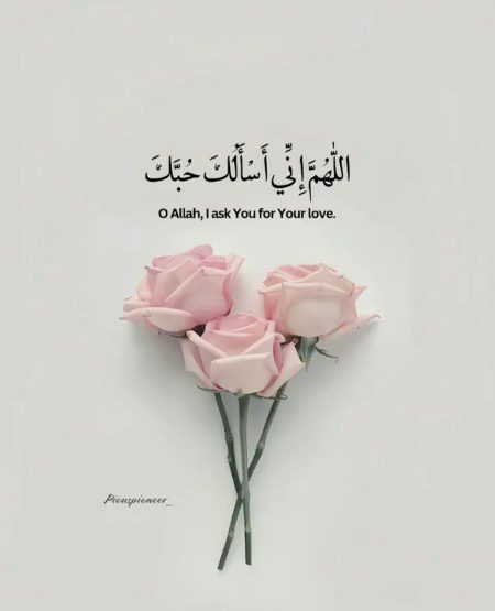 Islamic Quotes image