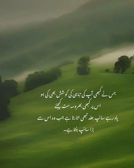 Bt h pty ki or sbakh b agy apki mrzi S