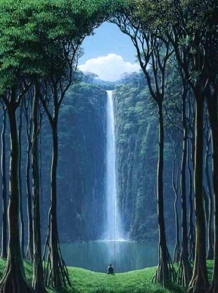 Beautiful Nature image