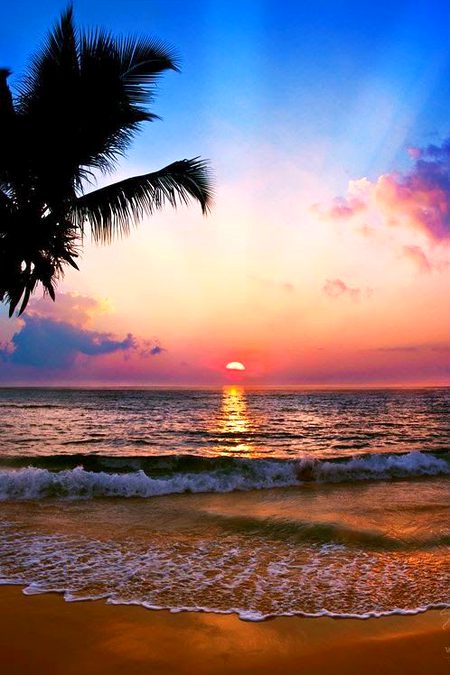 Beautiful Nature image
