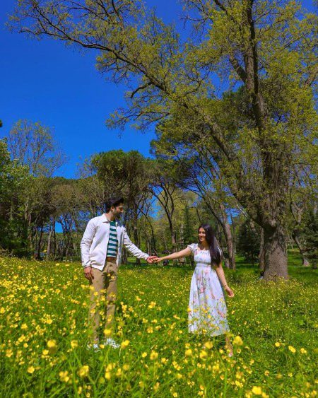 Beautiful Nature image