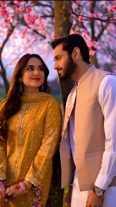 Pakistani Celebs image