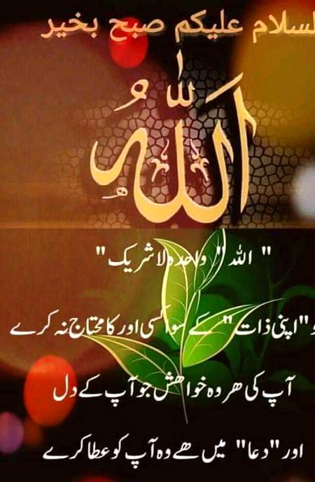 Islamic Quotes image