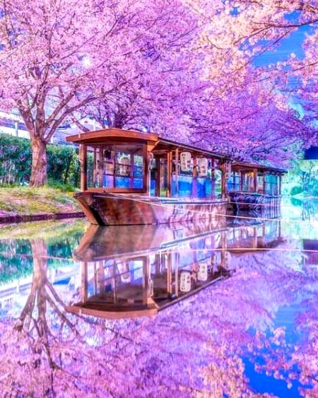 Beautiful Nature image