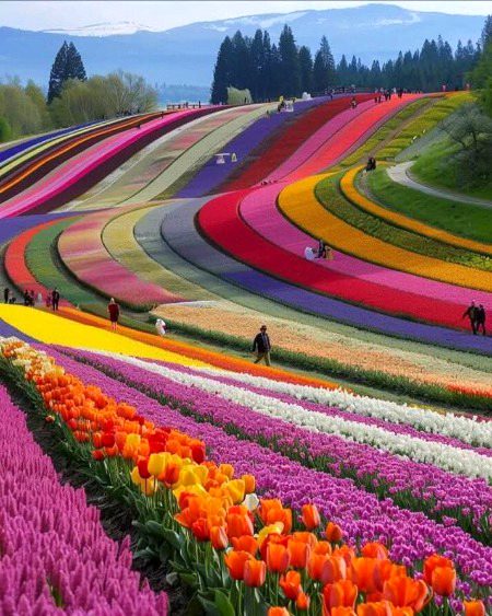 Beautiful Nature image