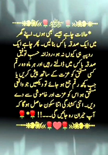 Assalam o Alaikum 💞🌹🇵🇰