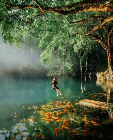 Beautiful Nature image