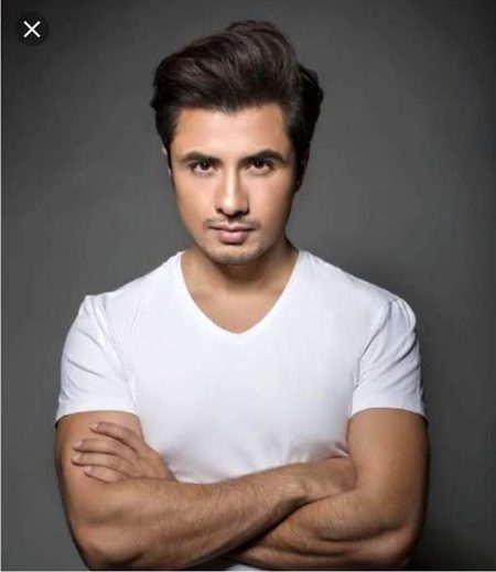 Pakistani Celebs image